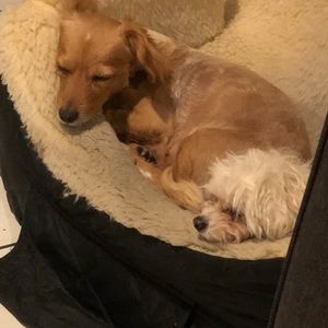 Meet your Posher, Fernando